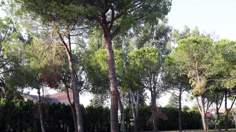 Arriva l’area sgambamento fra tanti problemi di gestione