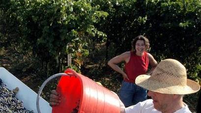 Tra Reggio e Modena una grande alleanza per salvaguardare il lambrusco emiliano