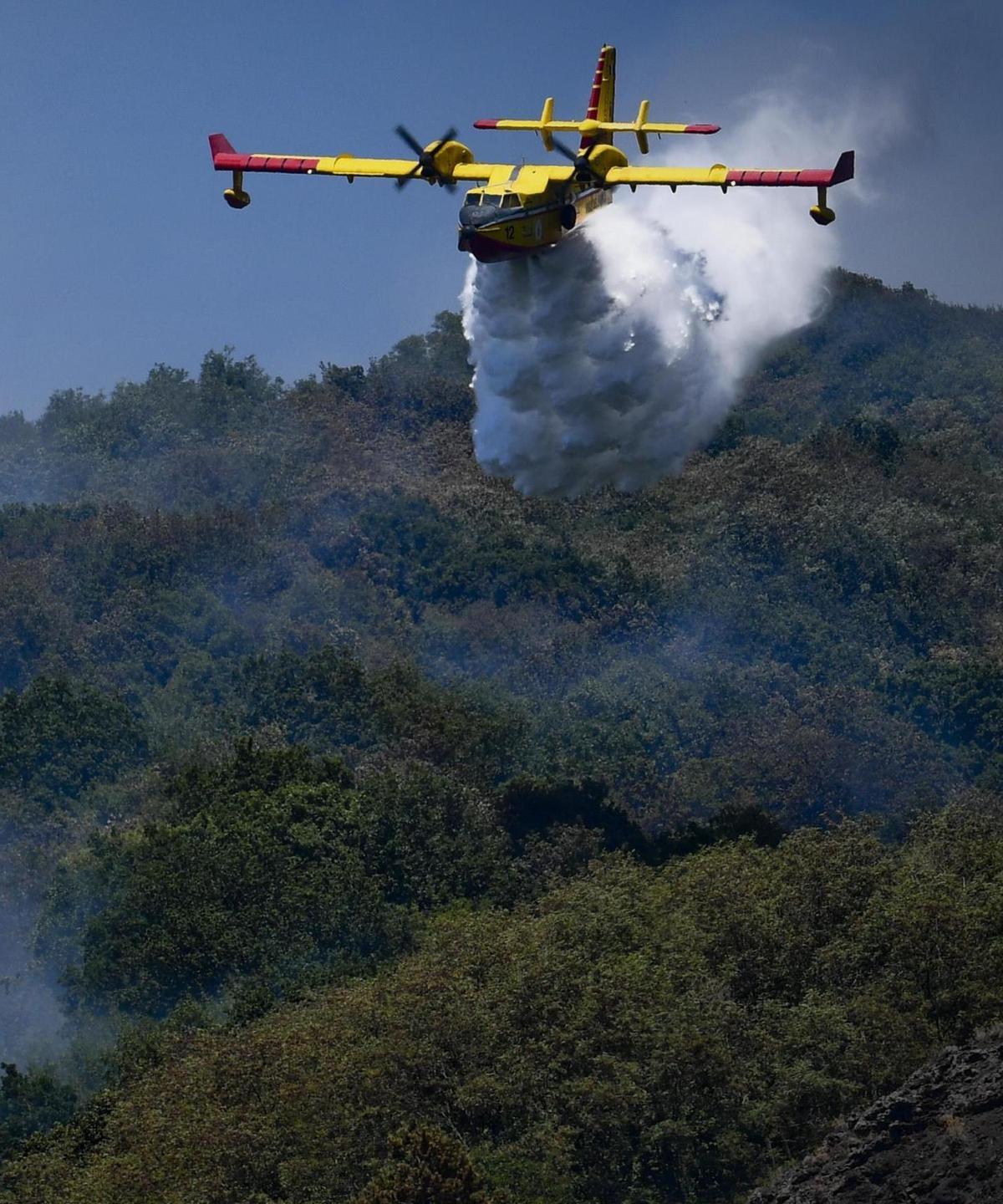 In un mese 418 roghi La campagna costerà 7,5 milioni 