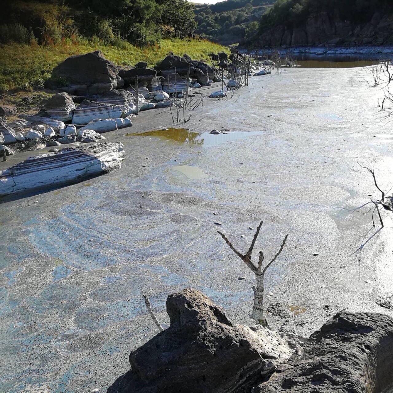 Come si presenta l'acqua alla foce del Tirso