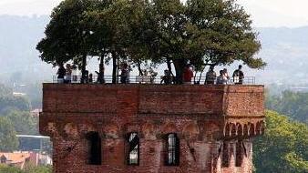 Manutenzione alla scala Torre Guinigi chiusa