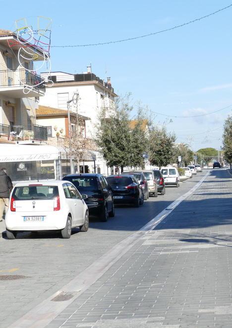 Nuove piante ad Albinia La frazione si fa bella