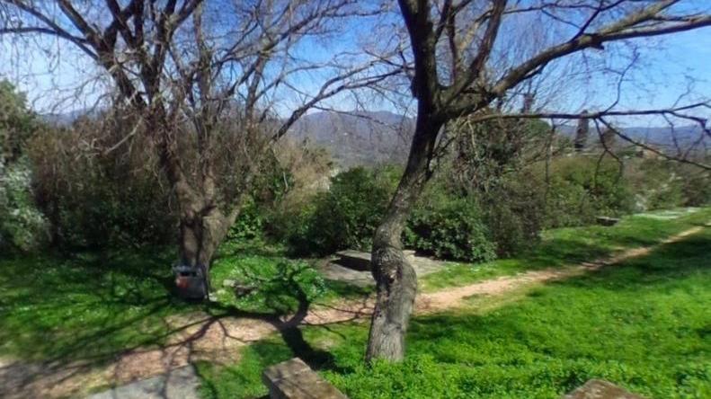 Dietro alle antiche mura i vecchi olmi sono spariti Nessuno se n’era accorto a causa del lockdown