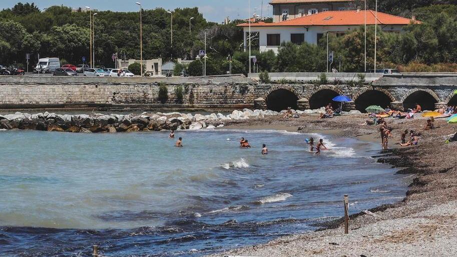 Macchie e schiuma in mare «Ma si tratta solo di alghe»