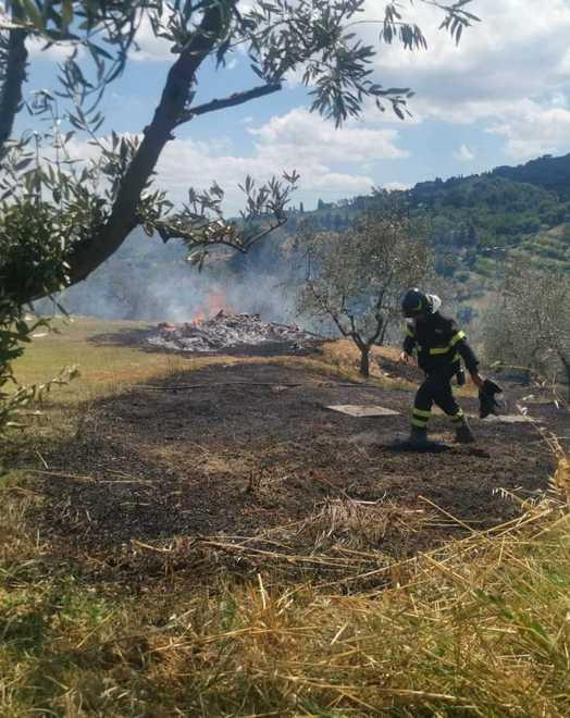 Incendio danneggia 70 olivi