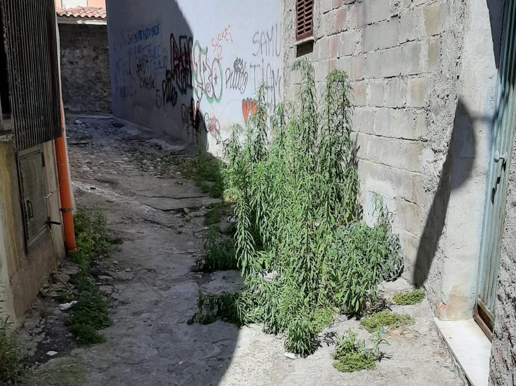 Minoranza contro: «Siniscola è in abbandono» 