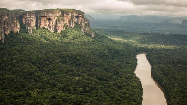 Amazzonia: Bolsonaro, nostra politica distorta all'estero