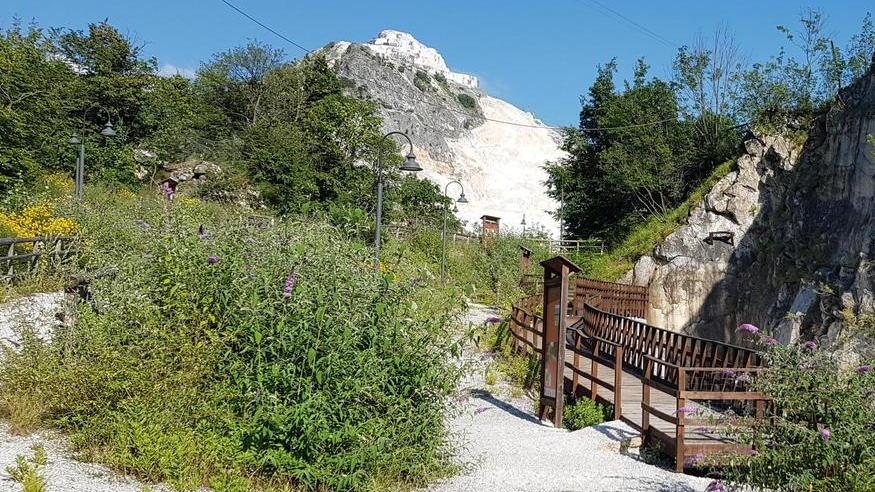 Nelle immagini, lo stato di abbandono di Fossacava