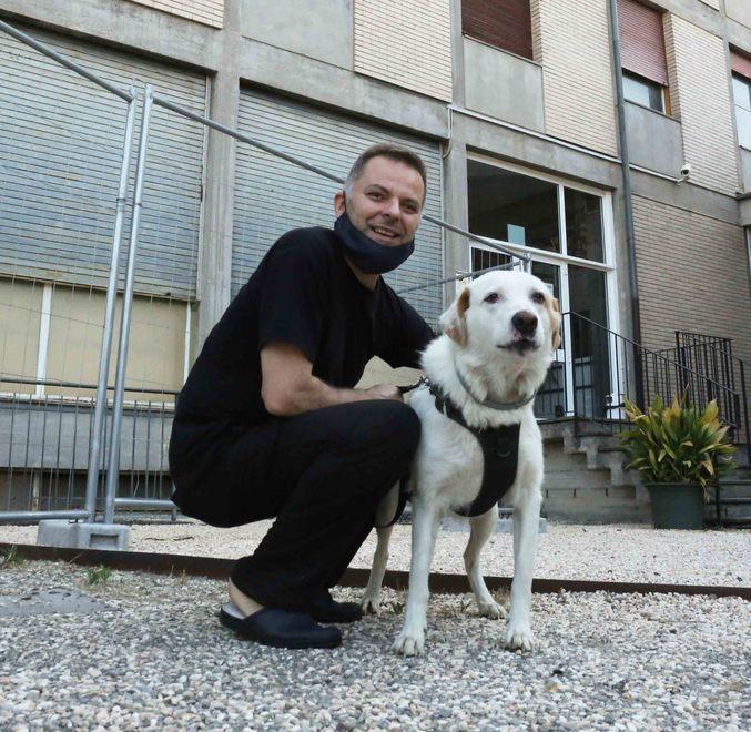 Kore, il cane mascotte del Seminario di Reggio (destinato a Unimore) ha bisogno di una casa