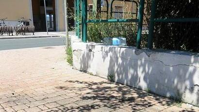 Il luogo dove un uomo ha improvvisato un fuoco e arrostito la carcassa di un gatto