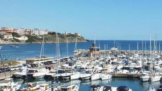 «Prematuro decidere sul porto di Salivoli»