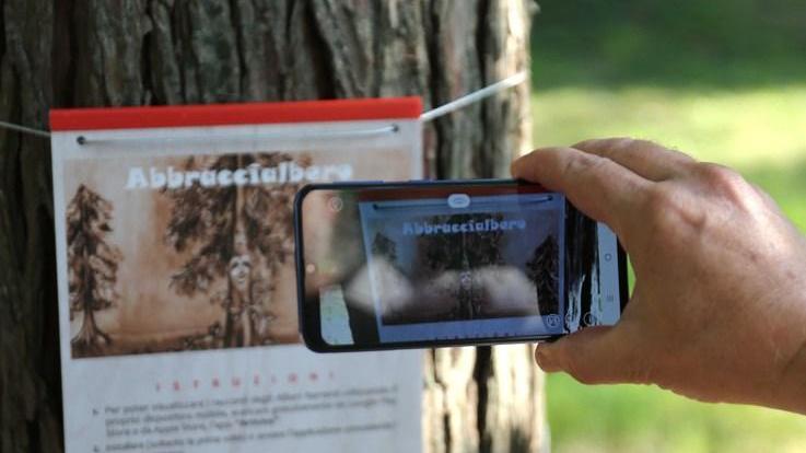 Gli alberi di via Monte Cisa raccontano tramite un’app storie e segreti del Parco