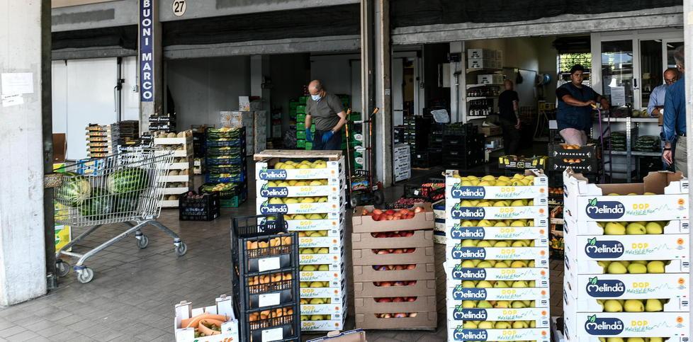 «Il Comune ci dica cosa vuol fare del mercato ortofrutticolo di Pulia» 