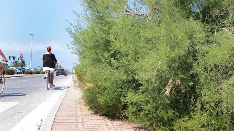 L’ira dei bagni della Darsena «A luglio lavori ancora in corso per il decoro»