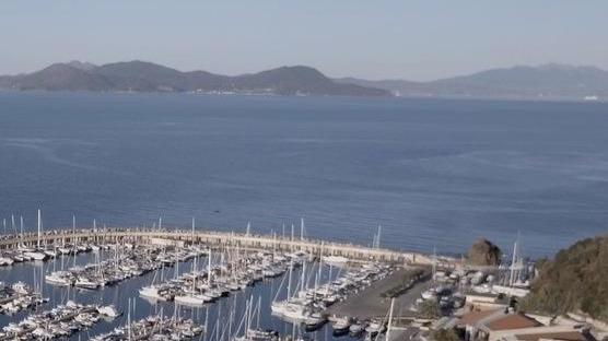 «Sul porto di Salivoli superficialità del M5s»