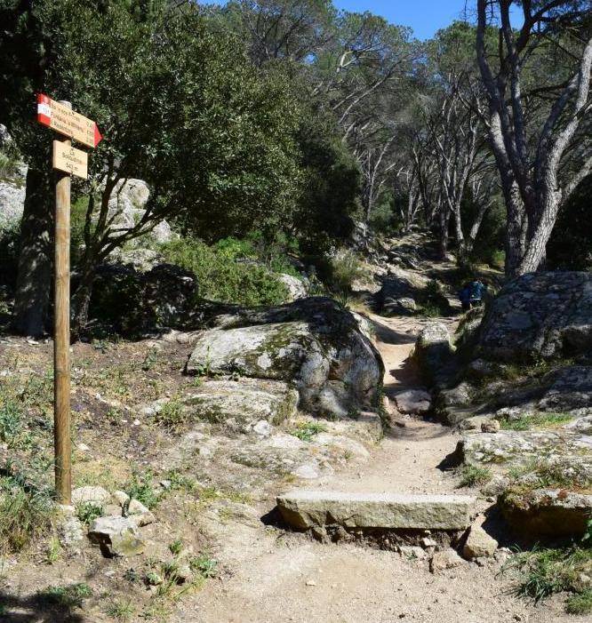 Ecolonie Ortobene, centri estivi per bambini e ragazzi