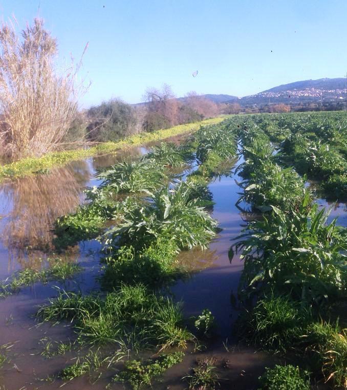 Allagamenti e antincendio gli agricoltori sentinelle 