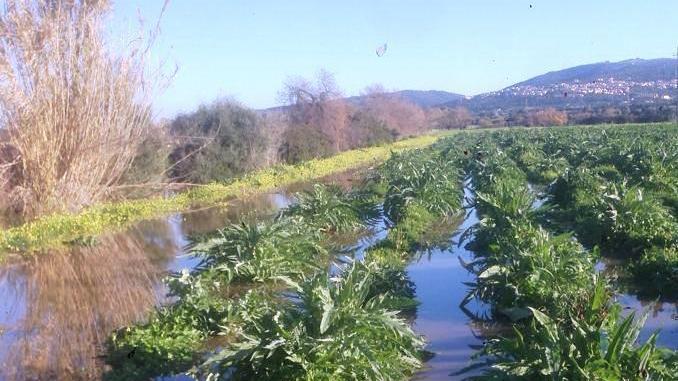 Allagamenti e antincendio gli agricoltori sentinelle