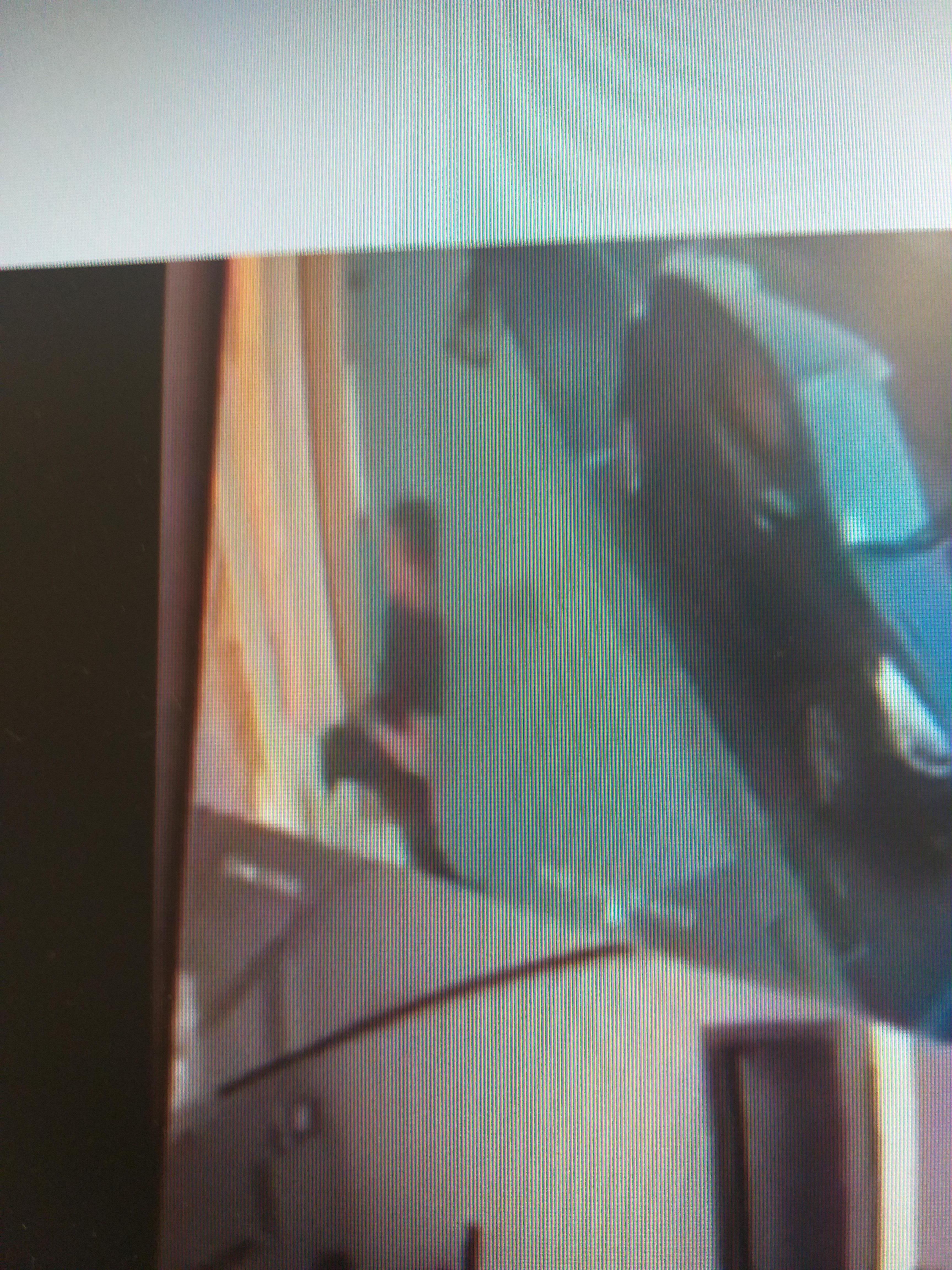 Il fermo immagine del video con il ladro che sfonda la porta dell'agenzia immobiliare