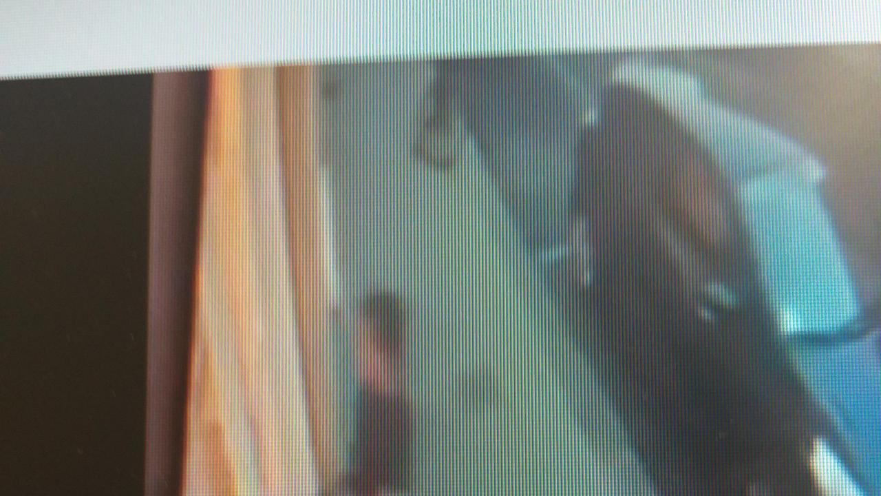 Il fermo immagine del video con il ladro che sfonda la porta dell'agenzia immobiliare