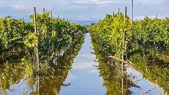 L’Unione Terra di mezzo chiede alla Regione lo stato di calamità naturale