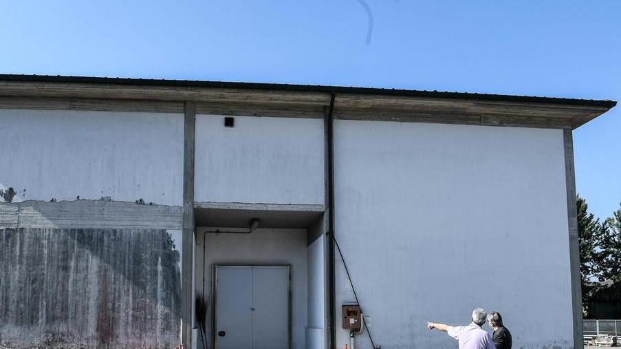 Nelle celle frigorifere seimila quintali di patate e altrettanti di pere cosce