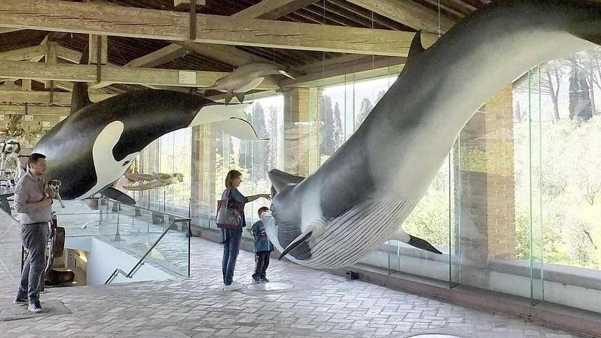 Contributi regionali il Museo di Storia Naturale è in vetta