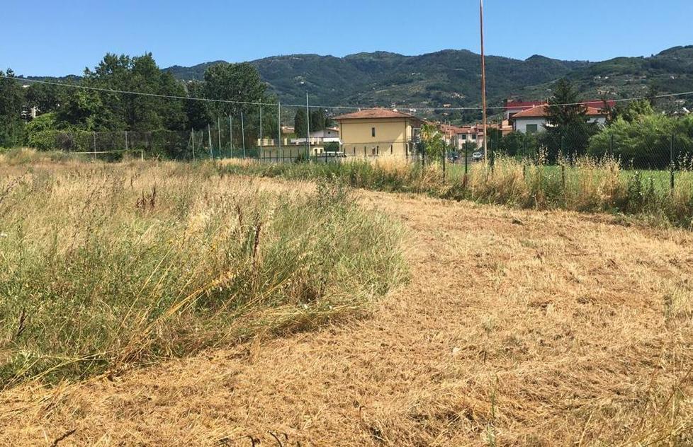 Nasce una scuola di tennis vicino al centro “Brizzi” 