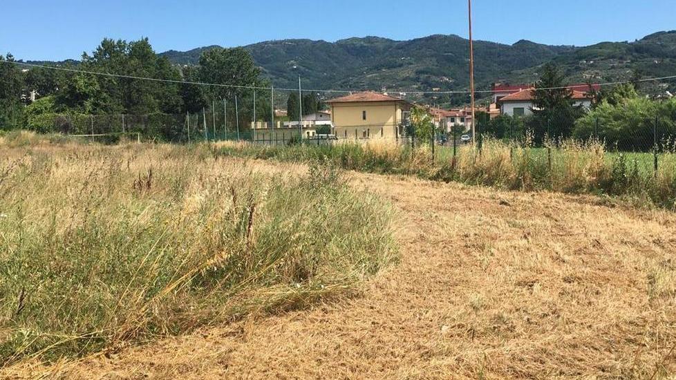 Nasce una scuola di tennis vicino al centro “Brizzi”