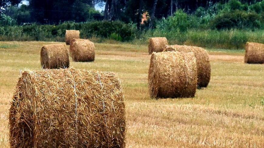 Miasmi dal compost nei campi, pioggia di proteste a Manciano