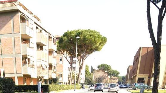 Diciassettenne preso a calci e pugni, due denunciati
