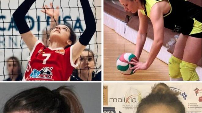 Lichota, Miculan, Campani, Liuzzo: che poker!