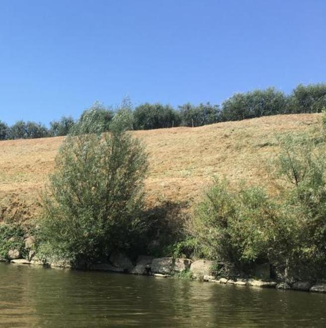 In corso i lavori di pulizia degli argini dell’Arno davanti ai centri abitati