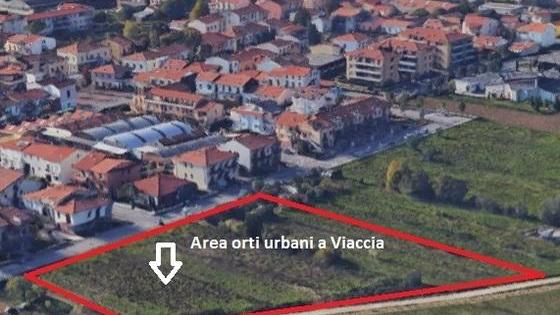 Serate al fresco nell’orto. La proposta di Viaccia