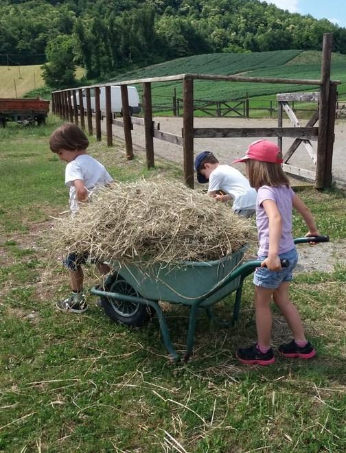 Il Cotto: «Lavoriamo bene con il centro estivo»