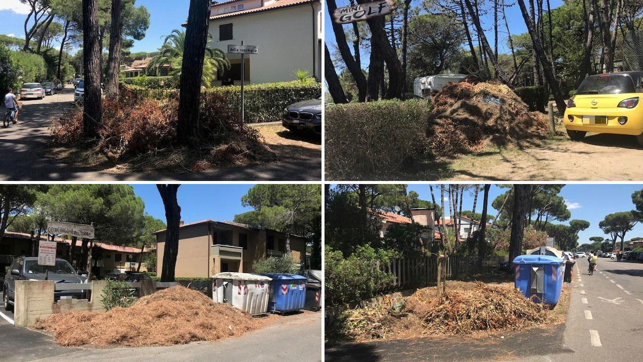 Strade sommerse da sfalci abbandonati: brutta (e rischiosa) abitudine a Principina
