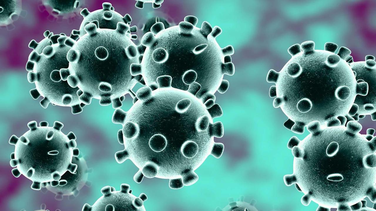 Coronavirus, nuovo focolaio familiare a Viareggio