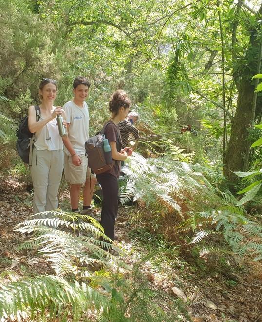 Una giornata di studio sulla lotta al Cinipide 
