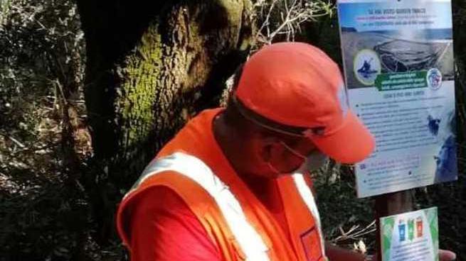 Linea telefonica dedicata al Parco di Rimigliano e nuova cartellonistica