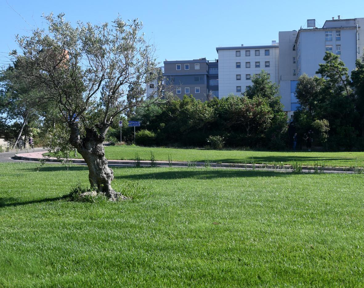 «La nostra sanità sarà potenziata» 