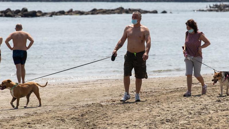 Lidi. Ritorna il bagno in mare per cani e padroni. Ma solo in spiaggia libera