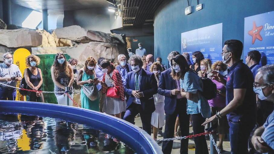 All’Acquario di Livorno il centro per la biodiversità: un cuore blu per salvare l'ambiente