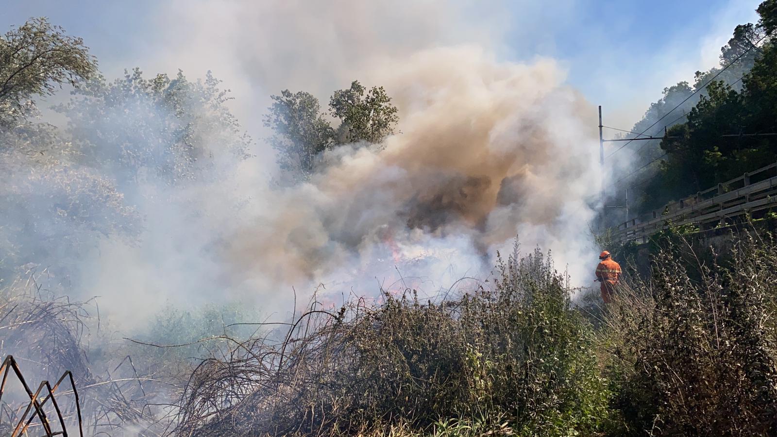 L'incendio a Poggio alla Malva