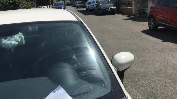 A Cecina la sosta selvaggia non va in vacanza: sono 169 le multe del fine settimana