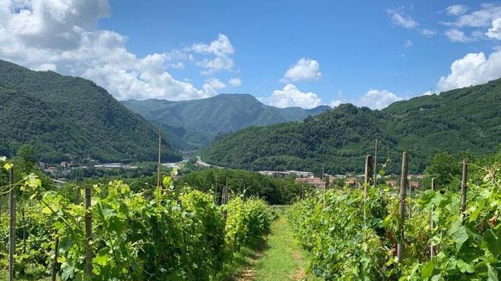 Nel paese delle acque si produce vino grazie all’impegno di due giovani