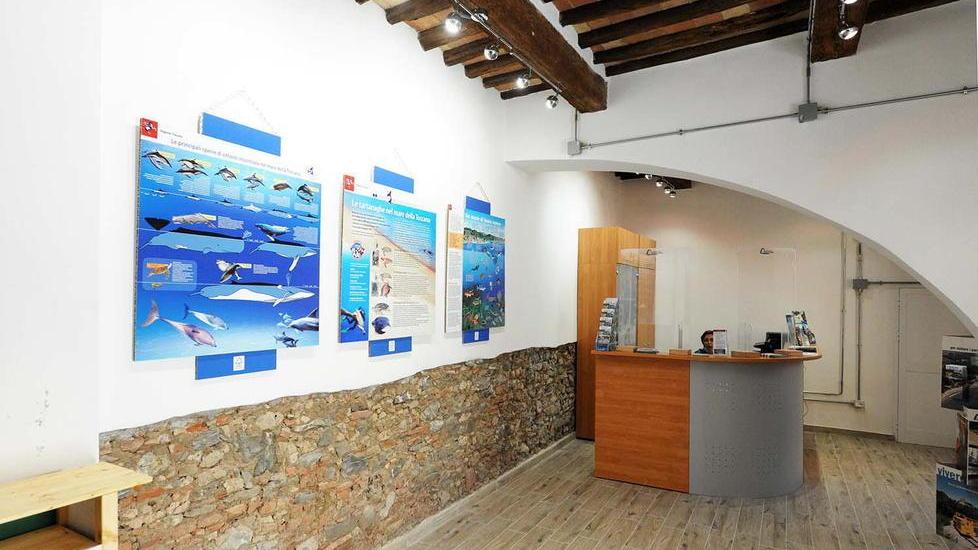 Nuovo ufficio informazioni turistiche in via Mazzini