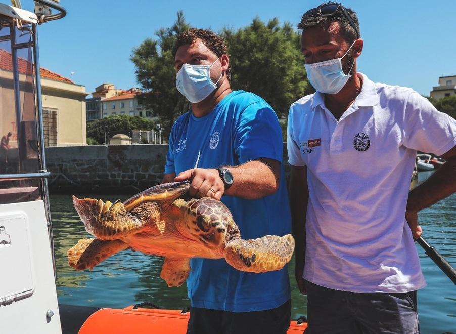 Era rimasta impigliata in una rete da pesca Ma ora Nanuk è libera