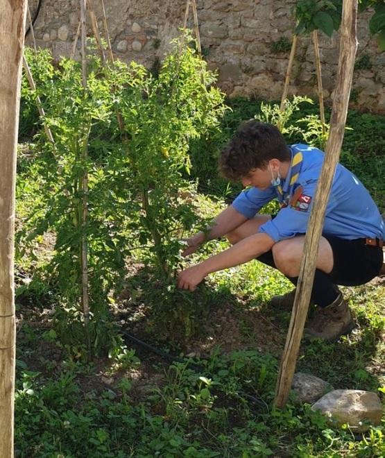 Gli scout recuperano l’orto di don Butelli 