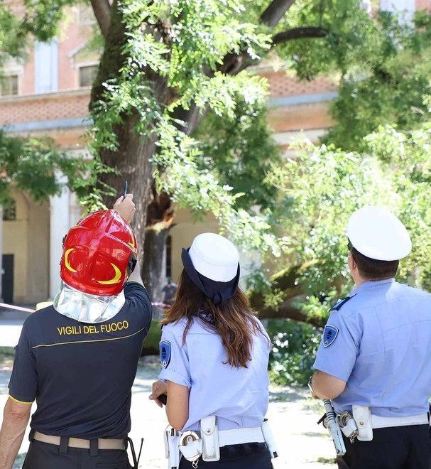 Sono accorsi i Vigili del fuoco e la Municipale