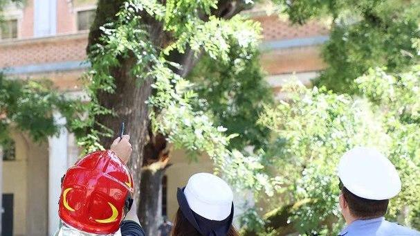 Sono accorsi i Vigili del fuoco e la Municipale